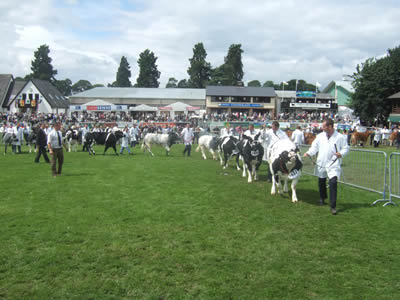 Parading for the judge